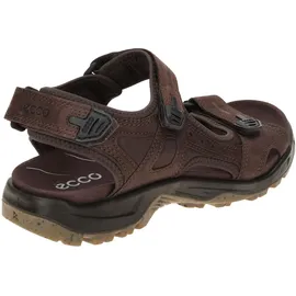 ECCO Offroad Herren braun 43