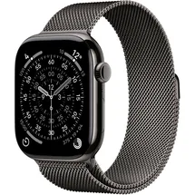 Apple Watch Series 11 GPS + Cellular 46mm Slate Titanium Milanaise Loop slate  S/M