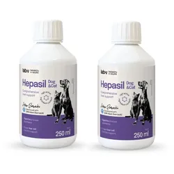 Lab-v Hepasil Dog & Cat Präparat zur Verbesserung der Leberfunktion für Hunde und Katzen 2x250 ml