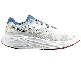Salomon Aero Glide 2 Herren Claqua/Tahide/Bparad 46