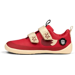 Fuchs Rot 21