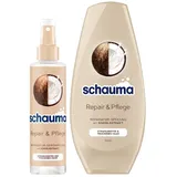 Schauma Sprühpflege Repair & Pflege (200 ml) Hitzeschutz für regeneriertes Haar & Schwarzkopf Spülung Repair & Pflege (250 ml) mit Kokos-Extrakt pflegt trockenes Haar