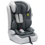fillikid Kindersitz Oli i-Size 9 Monate - 12 Jahre (76 cm - 150 cm) - Grau
