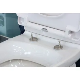Bernstein WC-Sitz U1009 – passend für NT2038 Weiß