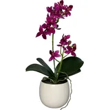 Künstliche Orchidee - Elric | 34 cm | im Keramiktopf