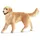 Schleich Farm World Golden Retriever Hündin 16395