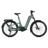 Kalkhoff Entice 7+ Move 27,5 Zoll RH 45 cm mineralgreen/huntsmengreen matt