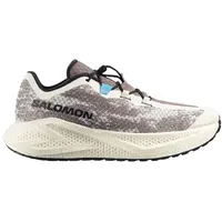 Salomon Herren Aero Glide 4 GRVL Schuhe (Größe 43 , beige)
