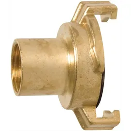 BEVO MEGA Gewindestück, Innengewinde 1" ′′, Messing