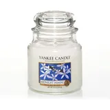 Yankee Candle Midnight Jasmine mittelgroße Kerze 411 g