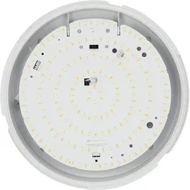 LED-Line LED line PRIME 1 weiß IP65