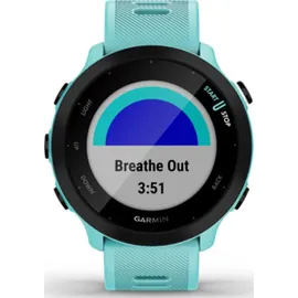 Garmin Forerunner 55 mit Silikon-Wechselarmband türkisblau/schwarz