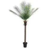 Europalms Phönix Palme deluxe, Kunstpflanze 220cm