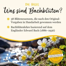 Klosterfrau Bachblüten Murnauers Konzentrier Dich Globulini 10 g