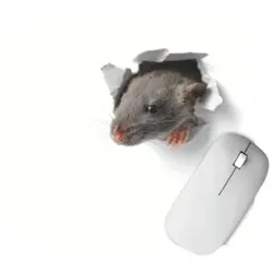 RNK Mousepad-Block 220x240mm 46654 Design 2