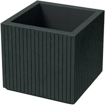 Prosperplast Coro Square 40 40 x 36 x 36 cm Blau