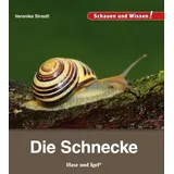 Hase und Igel Verlag GmbH Die Schnecke