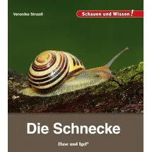 Hase und Igel Verlag GmbH Die Schnecke