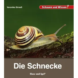 Hase und Igel Verlag GmbH Die Schnecke