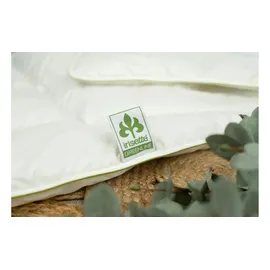 IRISETTE Leicht-Steppbett Cyclafill ECO - weiß ¦ Maße (cm): B: 135