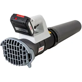 Ikra mogatec Akku Axial-Laubbläser ICB 20 inkl. 2 x 2,0 Ah + Schnellladegerät