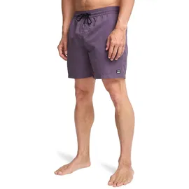 BILLABONG Badeshorts All Day Dusty Grape M