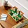 LEGO Botanicals Icons Springbrunnengarten 10359