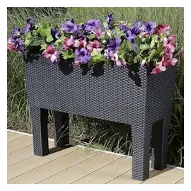 Prosperplast Rato Case High 60 x 25 x 46 cm anthrazit