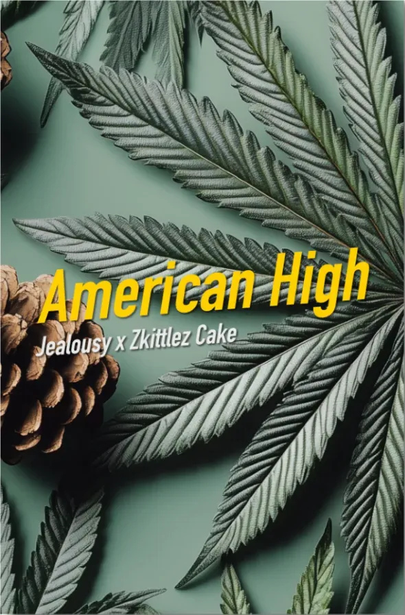 Dope Seeds American High 6 Samen