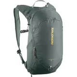 Salomon Trailblazer 10 Backpack C23361