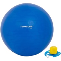 Tunturi Gymnastikball 65 cm blau Volle Größe