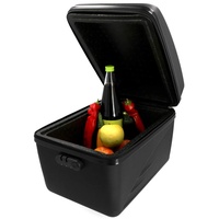 Fischer Isolierte Gepäckträgerbox