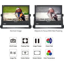 FeelWorld Seetec 13,3" Aluminium