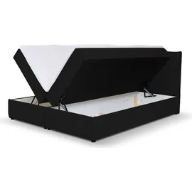 venasi Gloria 140 x 200 cm H2 Schwarz