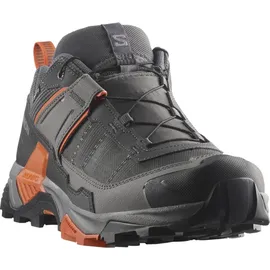 Salomon Herren X Ultra 5 GTX Schuhe (Größe 42, grau)