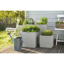 LECHUZA Canto Stone low 40 Komplettset 40 x 40 x 40 cm steingrau