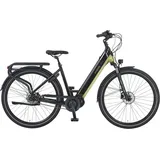 Prophete Geniesser 5.0 28 Zoll RH 48 cm Schwarz-Silbergrün
