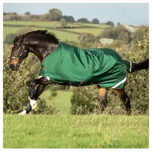 Horseware Rambo Original Turnout Lite 100g 130 cm Blau/Grün/Rot