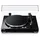 Yamaha MusicCast Vinyl 500 Schwarz
