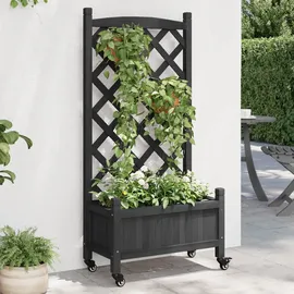 vidaXL Pflanzkübel mit Spalier 194 x 40 x 120 cm Schwarz
