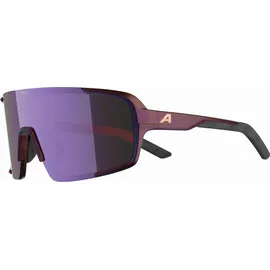 Alpina Lumin Sonnenbrille M black-purple metallic matt S2