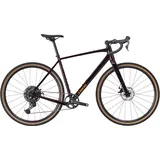 Trek Checkpoint ALR 3 2026 29 Zoll RH 54 cm Unisex braun