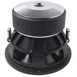 ESX Vision VX12PRO 12 Zoll Subwoofer | Masori