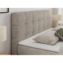 MKS Meble Boxspringbett mit Bettkasten ¦ beige ¦ Maße (cm): B: 200 H: 110