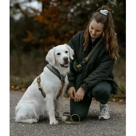 Non-Stop Dogwear Hundegeschirr Line Harness 5.0 Rachel Pohl Signature Edition, teal/oak