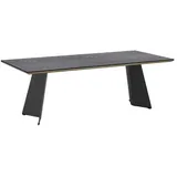 Zebra Technologies Zebra Ajax Gartentisch 230x100cm Stahl/Teak/HPL Natur|Dunkelgrau