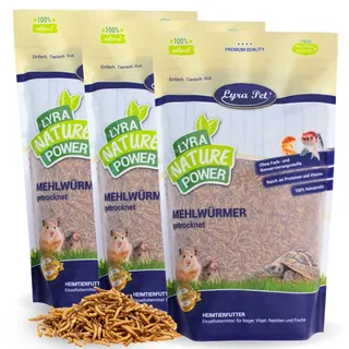 Lyra Pet® | 3 kg Mehlwürmer getrocknet | Proteinreiches Vogelfutter | Für Wildvögel, Nager, Reptilien & Fische | Nahrhaftes Futter | Energiespender für Insektenfresser | Vitamine & Mineralstoffe