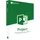 Microsoft Project Professional 2019 5 Benutzer ESD DE Win