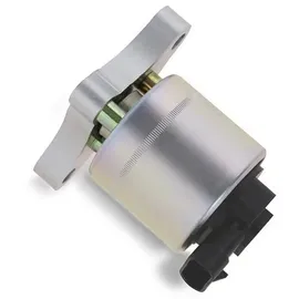 Magneti Marelli AGR-Ventil