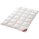 Schäfer Decke Standard Eismeer Winterbett extra warm (Größe: 200x220 cm*)